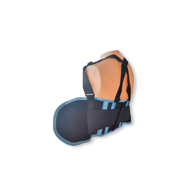 FAJA PROTECTOR LUMBAR - Imagen 2